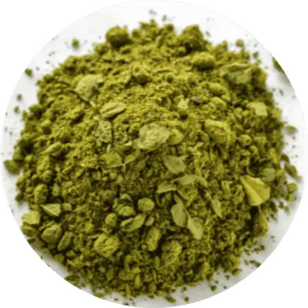 Green Tea Extract