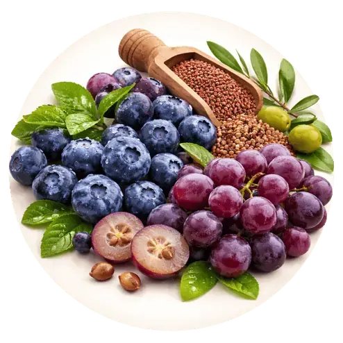 Antioxidant Berry Blend