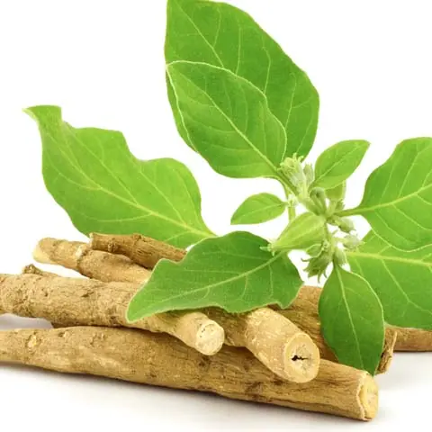 Ashwagandha Extract
