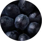 Grape Seed Extract